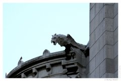 IMG_20060716_111653