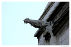 IMG_20060716_111656