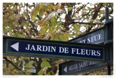Impressionen aus Paris