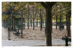 Park