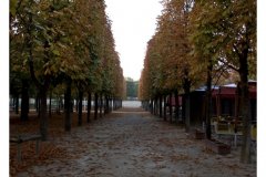 Herbstlich