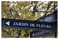 Impressionen aus Paris
