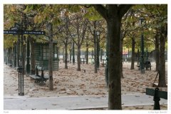 Park