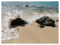 Waves