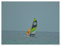 IMG_20150926_134239
