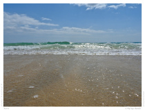 Waves