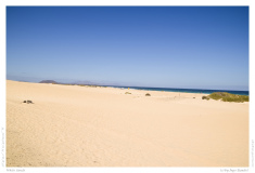 White Sands
