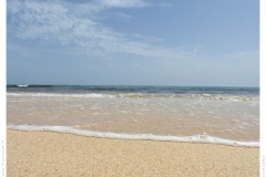Waves Waves