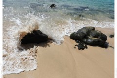 Waves Waves