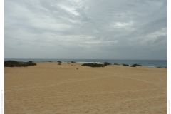 Düne Düne