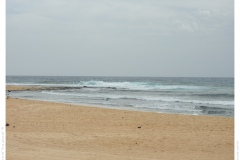 Düne Düne