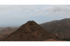 Pajara Pajara