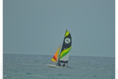 IMG_20150926_134239 IMG_20150926_134239