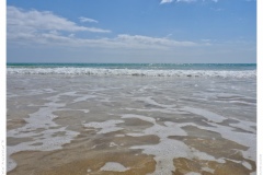 Waves Waves
