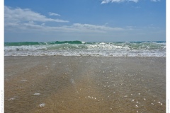 Waves Waves