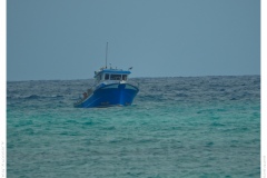 Fischfang Fischfang