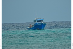 Fischfang Fischfang