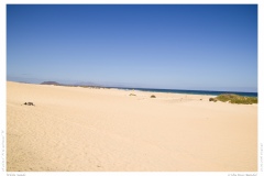 White Sands