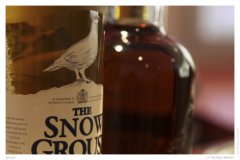 Grouse