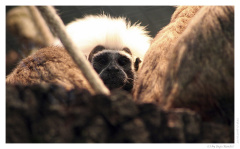 IMG_20060525_171532-Web