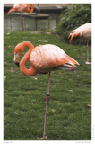 Kölner Zoo