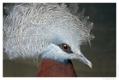 IMG_20090519_134512-Web