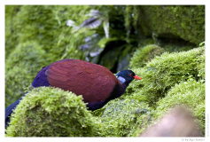 IMG_20090519_134630-Web