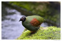 IMG_20090519_135019-Web