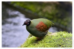 IMG_20090519_135019-Web
