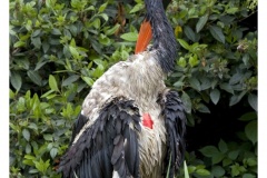 IMG_20090519_140628-Web