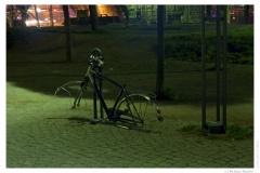 IMG_20070521_225921-Web