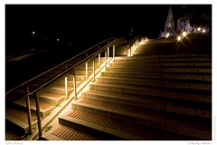 CGN 20090512 CGN 20090512