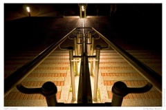 CGN 20090512 CGN 20090512