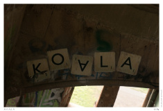 K O A L A