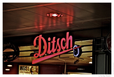 IMG_20110422_150216-Web