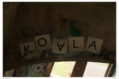 K O A L A K O A L A