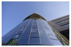 CGN 20090512 CGN 20090512