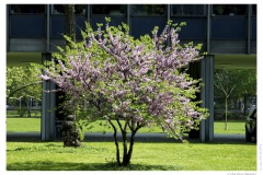 IMG_20110422_132811-Web