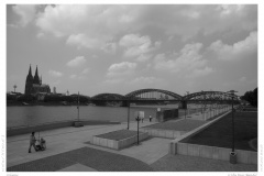 Cologne Cologne