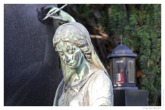 IMG_20061210_111417-Web