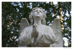 IMG_20061210_120420-Web