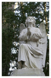 IMG_20061210_120427-Web