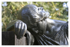 IMG_20061210_120800-Web