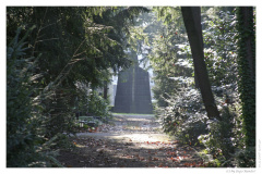 IMG_20061210_121040-Web