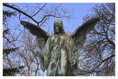 IMG_20061210_123256-Web