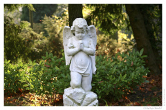 IMG_20061210_130116-Web
