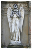 IMG_20061210_131542-Web