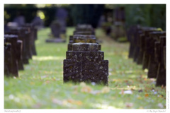 Melatenfriedhof