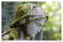 Melatenfriedhof