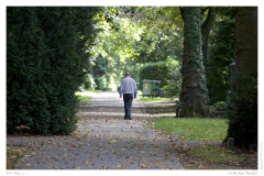 Der Weg .........